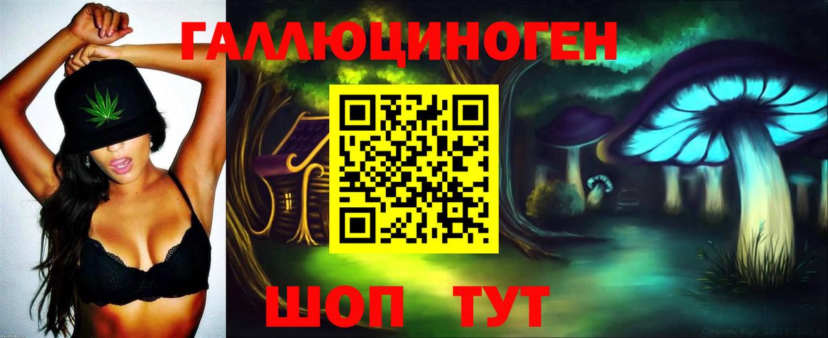 Дубна  купить  цена  Вход с VPN  Псилоцибиновые грибы Psilocybe 