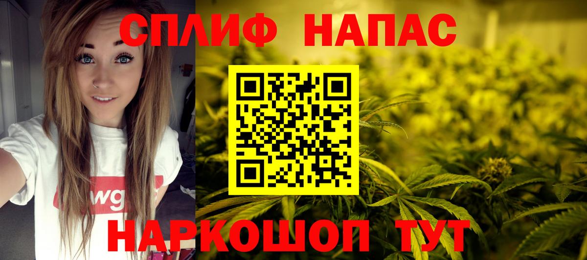 Конопля MAZAR Дубна